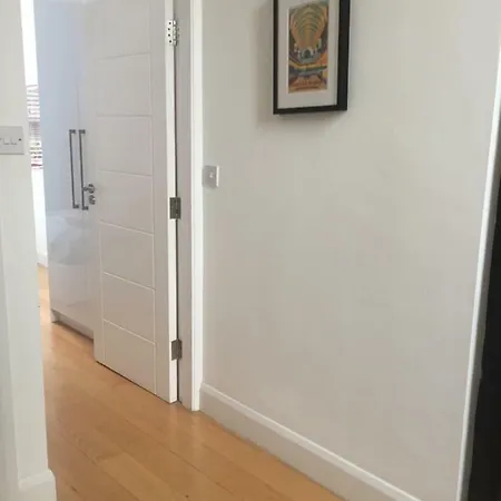 The Skinny House